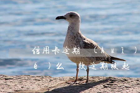 信用卡逾期會(huì)被銀行凍結(jié)么(貸款逾期被起訴信用卡也會(huì)被凍結(jié)嗎?)