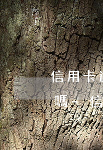 信用卡逾期會(huì)被銀行錄入黑名單嗎-信用卡逾期會(huì)被銀行錄入黑名單嗎知乎