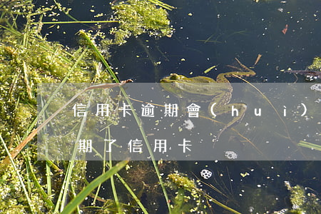 信用卡逾期會(huì)被銷卡嘛怎么辦(逾期了信用卡)