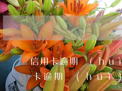 信用卡逾期會(huì)被限制出境-信用卡逾期會(huì)被限制出境嘛