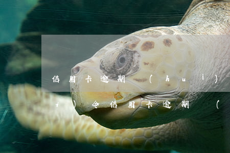 信用卡逾期會(huì)被限制消費(fèi)令(信用卡逾期會(huì)被限制消費(fèi)令)