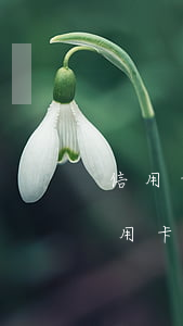 信用卡逾期會(huì)補(bǔ)救嗎(信用卡逾期會(huì)補(bǔ)救嗎知乎)