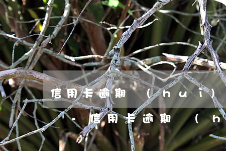 信用卡逾期會(huì)要求夫妻共同還款嗎-信用卡逾期會(huì)要求夫妻共同還款嗎怎么辦