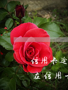信用卡逾期會(huì)計(jì)入下期 在信用卡最后還款日還款算逾期不