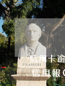 信用卡逾期會(huì)記入個(gè)人信用報(bào)告嗎-信用卡逾期會(huì)記入個(gè)人信用報(bào)告嗎怎么查