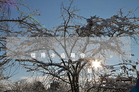 信用卡逾期會(huì)財(cái)產(chǎn)執(zhí)行嗎(欠信用卡會(huì)執(zhí)行家庭財(cái)產(chǎn)嗎)