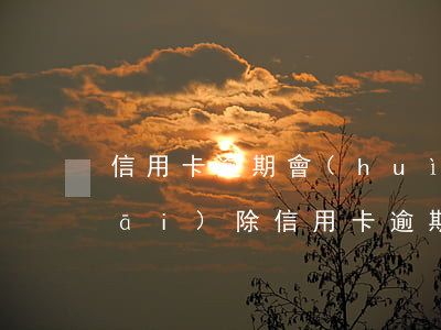 信用卡逾期會(huì)走訪單位被開(kāi)除(信用卡逾期會(huì)走訪單位被開(kāi)除)