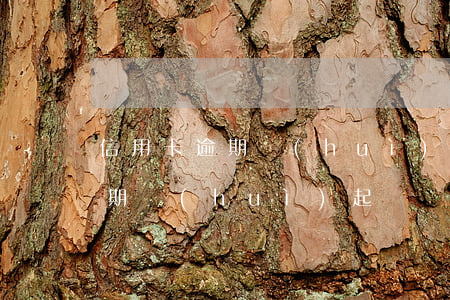 信用卡逾期會(huì)起訴幾次(信用卡逾期會(huì)起訴幾次嗎)