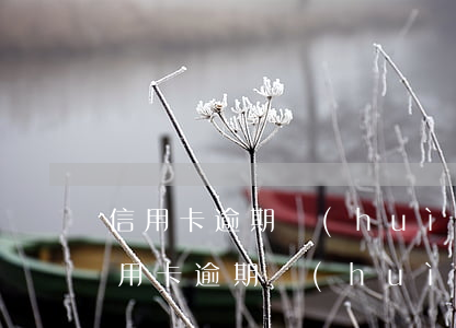 信用卡逾期會(huì)跟征信一輩子嗎(信用卡逾期會(huì)跟征信一輩子嗎)