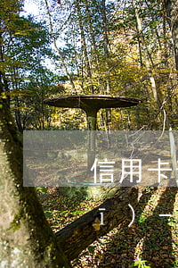 信用卡逾期會(huì)追究pos機(jī)-pos機(jī)刷卡顯示卡過(guò)期