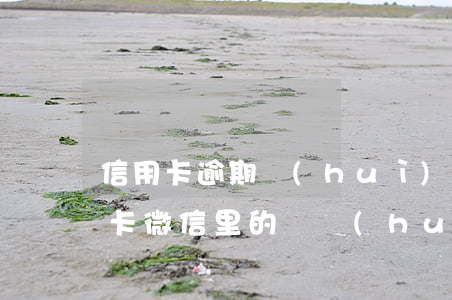 信用卡逾期會(huì)退款嗎微信(欠信用卡微信里的錢會(huì)被扣嗎)