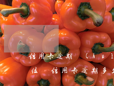 信用卡逾期會(huì)通報(bào)單位嗎(信用卡逾期多久上報(bào)信用中心)