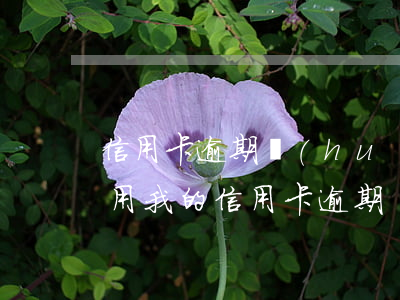信用卡逾期會(huì)通知家屬m嗎(父母用我的信用卡逾期)