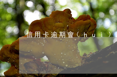信用卡逾期會(huì)通知親友