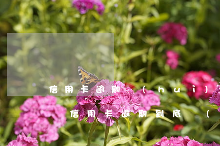 信用卡逾期會(huì)達(dá)到坐牢嗎(信用卡逾期到底會(huì)不會(huì)坐牢)