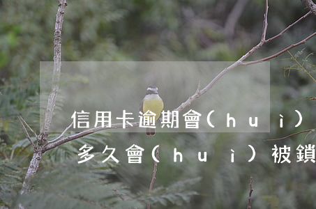 信用卡逾期會(huì)鎖定車輛 車輛逾期多久會(huì)被鎖車