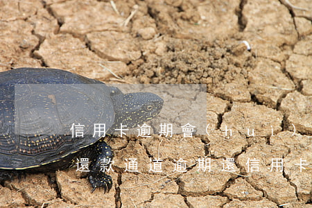 信用卡逾期會(huì)關(guān)閉還款通道(逾期還信用卡的后果)