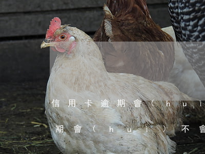 信用卡逾期會(huì)降額度嗎(信用卡逾期會(huì)不會(huì)降低額度)