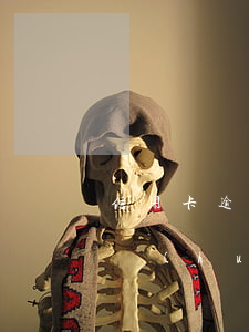 信用卡逾期會(huì)面談嗎(信用卡逾期會(huì)面談嗎知乎)