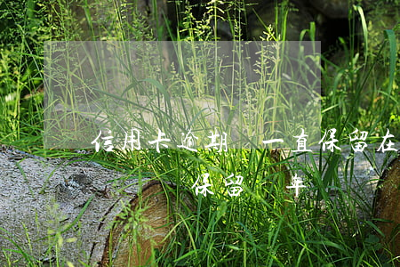 信用卡逾期會一直保留在征信記錄(征信逾期記錄會保留幾年)