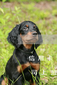 信用卡逾期會上單位催收嗎(在信用卡催收公司上班,犯法嗎)