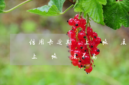 信用卡逾期會上門嘛額度不高(信用卡逾期會上門嘛額度不高)