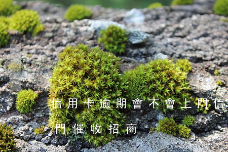 信用卡逾期會不會上門(信用卡逾期會不會上門催收招商)