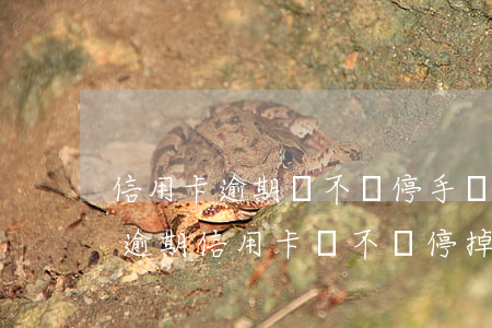 信用卡逾期會不會停手機(jī)卡(征信有逾期信用卡會不會停掉)