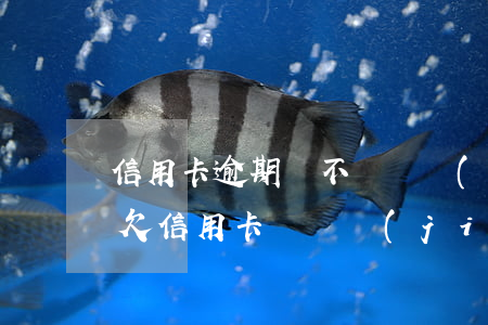 信用卡逾期會不會凍結(jié)我的房子 欠信用卡會凍結(jié)房子嗎