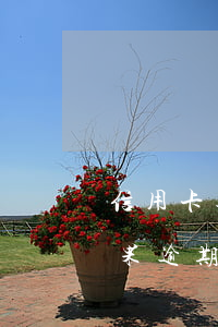 信用卡逾期會不會影響信用卡-辦信用卡如果逾期了對銀行卡有影響嗎