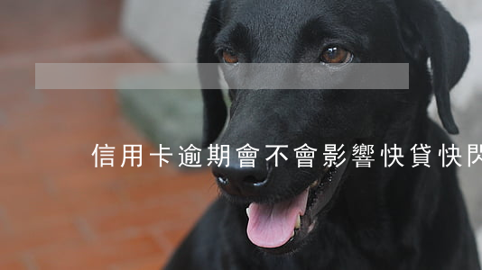 信用卡逾期會不會影響快貸(快閃卡貸逾期)
