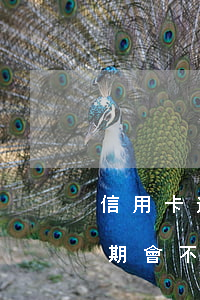 信用卡逾期會不會影響正在還房貸 信用卡逾期會不會影響正在還房貸的征信