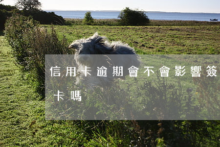 信用卡逾期會不會影響簽證(逾期會影響信用卡嗎)