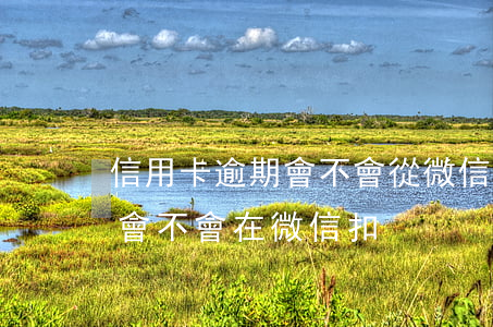 信用卡逾期會不會從微信上扣錢(欠信用卡錢會不會在微信扣)