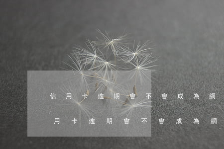 信用卡逾期會不會成為網(wǎng)逃(信用卡逾期會不會成為網(wǎng)逃)