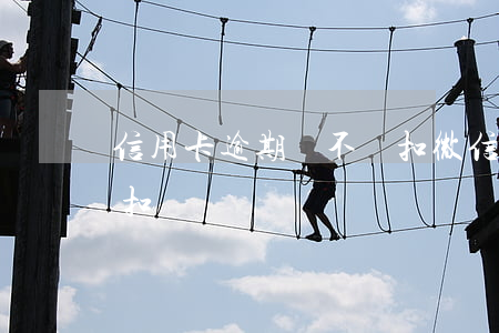 信用卡逾期會不會扣微信(欠信用卡微信會被扣嗎)