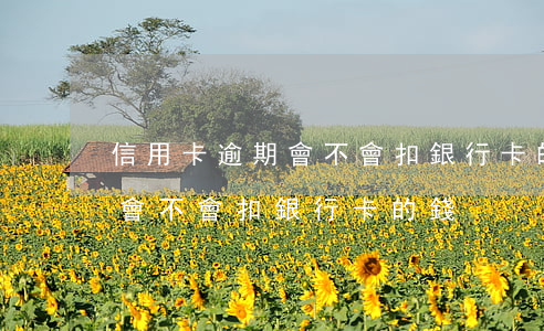 信用卡逾期會不會扣銀行卡的錢 信用卡逾期會不會扣銀行卡的錢
