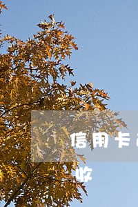 信用卡逾期會不會收車(信用車貸逾期多久會收車)