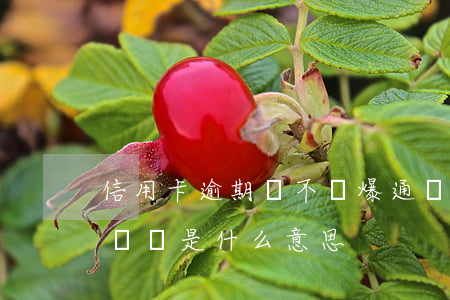 信用卡逾期會不會爆通訊錄(信用卡逾期爆通訊錄是什么意思)