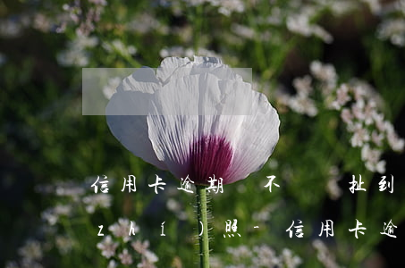 信用卡逾期會不會牽扯到營業(yè)執(zhí)照-信用卡逾期會不會牽扯到營業(yè)執(zhí)照信息