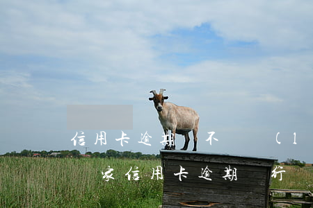 信用卡逾期會不會聯(lián)合起訴 好幾家信用卡逾期銀行會聯(lián)合起訴嗎