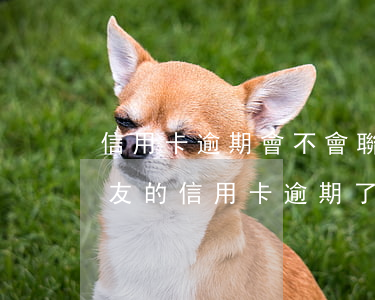 信用卡逾期會不會聯(lián)系家人(朋友的信用卡逾期了聯(lián)系人受牽連嗎)