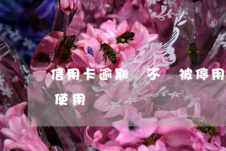 信用卡逾期會不會被停用(逾期會影響信用卡使用嗎)