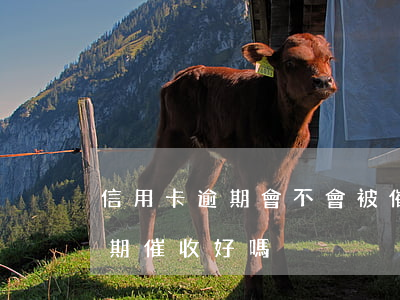 信用卡逾期會不會被催還萬用金(做信用卡逾期催收好嗎)