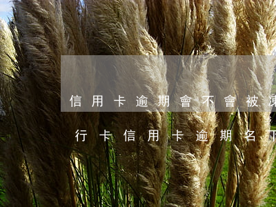 信用卡逾期會不會被凍結(jié)名下銀行卡(信用卡逾期名下儲蓄卡會不會被凍結(jié))