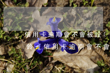 信用卡逾期會不會被設(shè)置逾期彩鈴-信用卡逾期會不會被設(shè)置逾期彩鈴業(yè)務(wù)