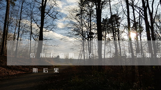 信用卡逾期會不會被設置逾期彩鈴(信用卡 逾期 后果)