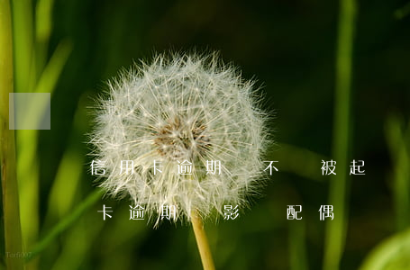 信用卡逾期會不會被起訴對方配偶-我信用卡逾期會影響配偶嗎