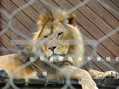 信用卡逾期會不會被追債(信用卡催債公司合法嗎)