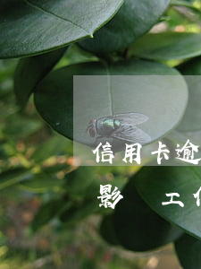信用卡逾期會丟掉工作嗎(我信用卡逾期了會影響工作嗎)